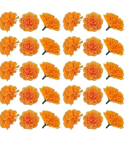 アニエスベー　マリーゴールド色 アニエスベー 50-0104_50_ﾗｲﾄｺﾞｰﾙﾄﾞ/ﾌﾞﾗｳﾝ | Best Megane